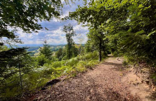 La Forêt suspendue - Gîte nature sur 9ha - option Spa avec vue panoramique - Foto 32