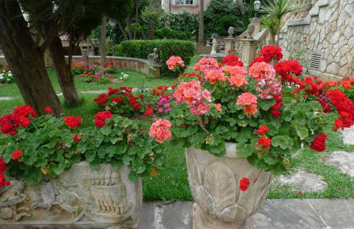 Villa Son Armadans - Photo 11