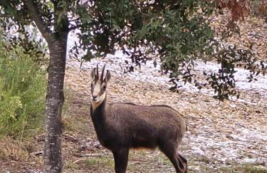 Les Oliviers Du Lac - Foto 33