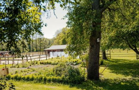 Ferienhof Trapp Heuhotel - Foto 87