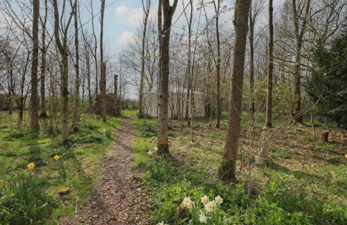Yewberrie Yurt - Foto 16