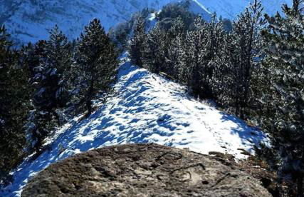 Artemis' Stone House - Photo 70