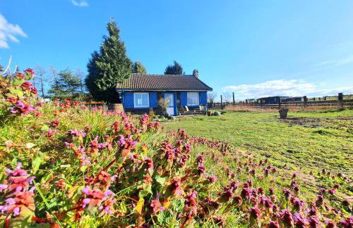 Ranczo Annabella - Foto 57