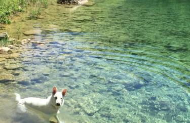 Apartments Bramado - Foto 25