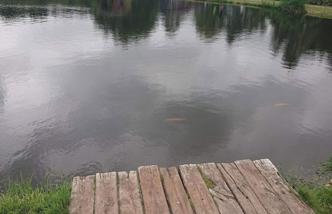 5 Star Holiday Home in Hovborg - Foto 33