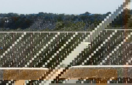 Masseria Bufolaria - Foto 21