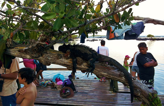 Concha Perla Tour - Foto 1