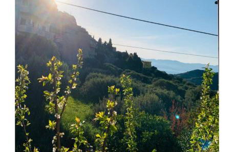 Appartamento tra gli ulivi - Reggio Calabria-Motta San Giovanni - Foto 11