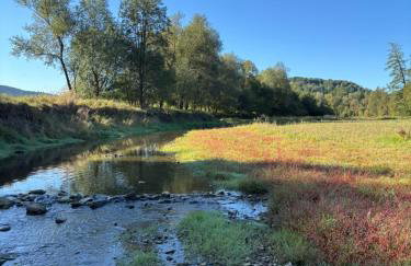Domki nad Krzyworzeką - Foto 12