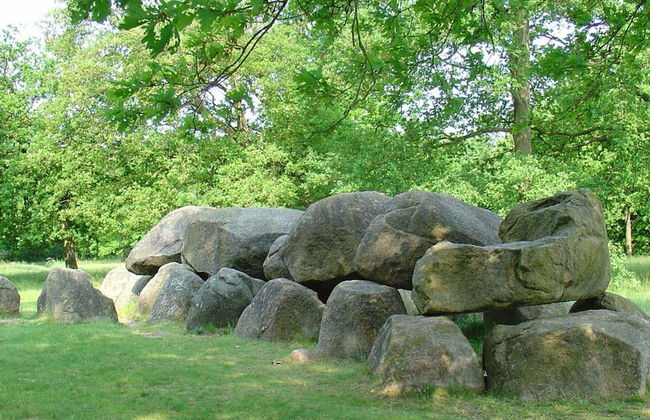 Apartment in the Forest of Eext - Foto 16