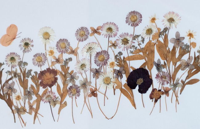 Italianway- Roma 23 - Foto 69