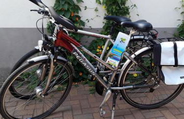 Ferienapartment-Monteurwohnung-Muldestausee - Foto 20