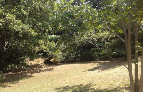 Entre Nîmes et Arles - Foto 18