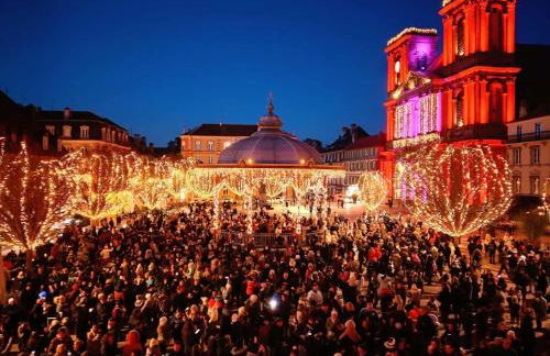 Le Cocon du lion - Foto 31