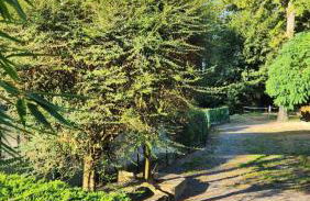 Détendez-vous à Montverdun - Foto 20