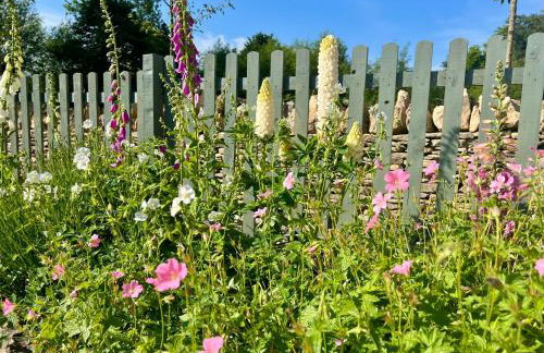 The Chestnuts - Foto 15