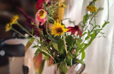 Lawendowy Domek agroturystyka, noclegi - 2,7 km od Bałtowa - Foto 59