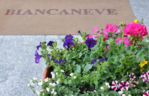 Residence Biancaneve - Foto 14