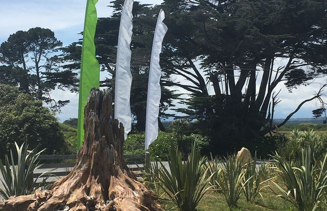 Ross Beach TOP 10 Holiday Park - Foto 61