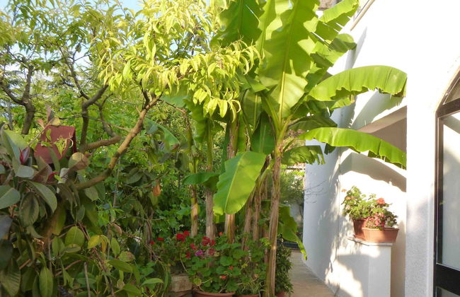 Angelo Apartment, in the Quiet Part of Porec - Photo 16