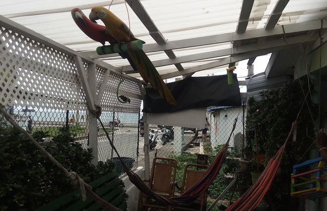 Room in Guest Room - Green Sea Inn San Luis Harmony Hall Hill - Foto 16