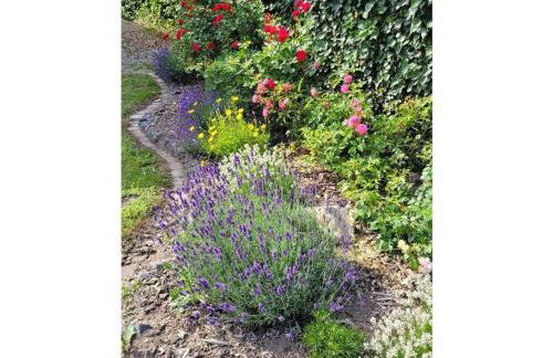 Ostfriesland to huus - Foto 17