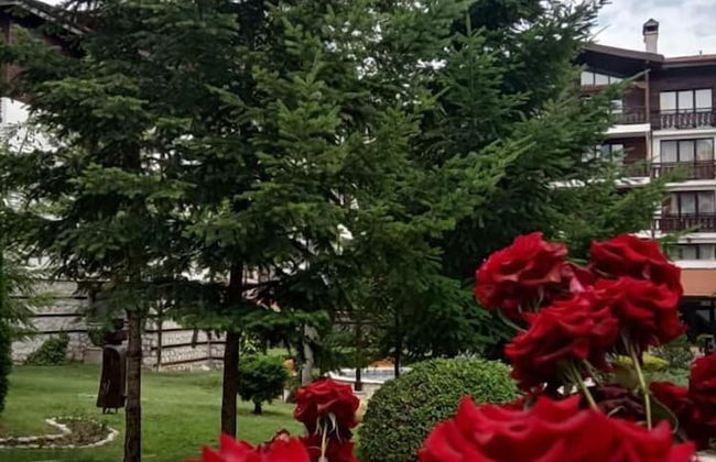 Winslow Infinity & Spa - Photo 43