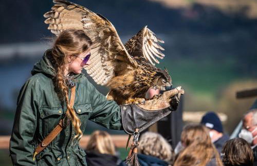 Wohnen auf der Ritterburg - Foto 35