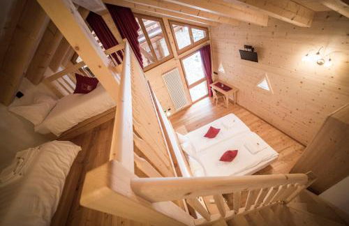 Maso Fior di Bosco - Val di Rabbi - Esercizio Rurale - Foto 17