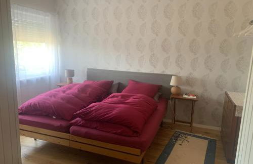 Draußen am See - Foto 20