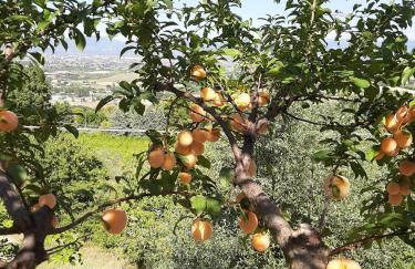 Agriturismo Etico Le Grazie - Foto 27