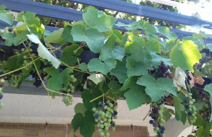 Apartment Meri - Foto 18