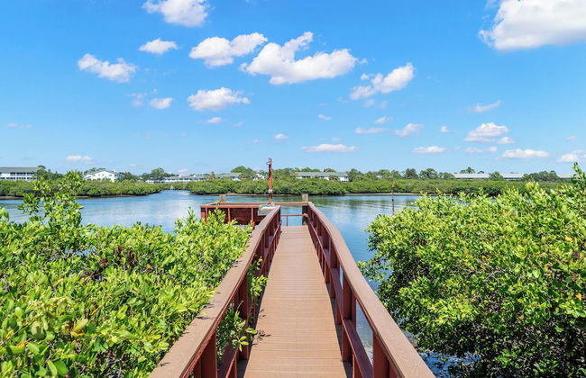 Seashell 19 - Foto 3