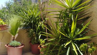 Apartamento Turístico Príncipe Cáceres AT-CC-00415 - Foto 3