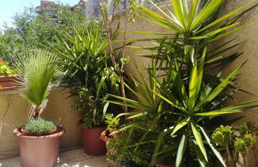 Apartamento Turístico Príncipe Cáceres AT-CC-00415 - Foto 3