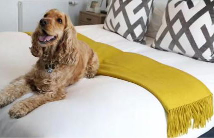 3 Bedrm Luxury Serviced Apartment in Canary Wharf - Foto 19