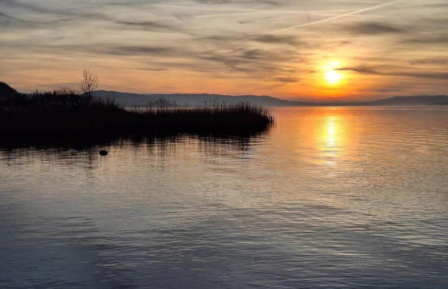 Tranquil Escape in Hallschlag - Photo 29