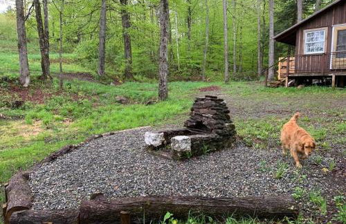 The Creek Cabin at Sky Hollow - Foto 19
