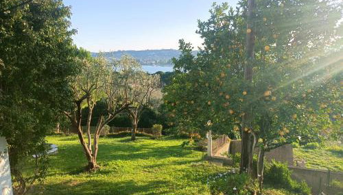 Kommeno dream garden - Foto 4, Garden