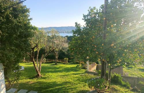 Kommeno dream garden - Foto 4