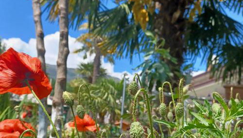 Casa colibrì - Foto 5, Garden, Garden view