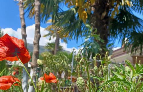 Casa colibrì - Foto 5