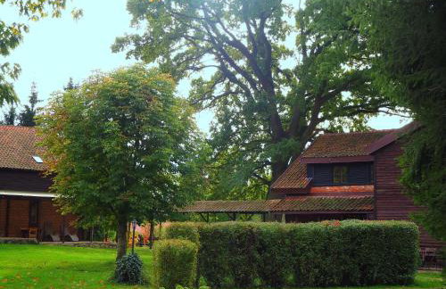 Dom Gościnny Bogdany - Foto 9