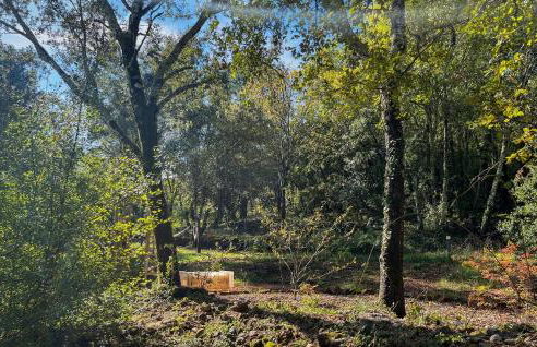 Awesome Home In Molières-Sur-Ceze - Foto 15