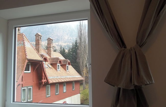 Villa Wellspacher - Renovated 19th Century Villa - Foto 35