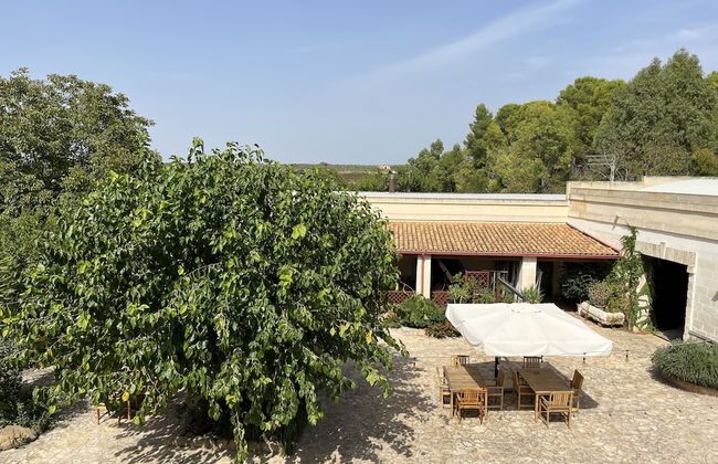 Masseria La Camardia - Foto 55