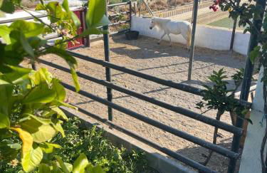 El Majuelo 2 - Foto 14