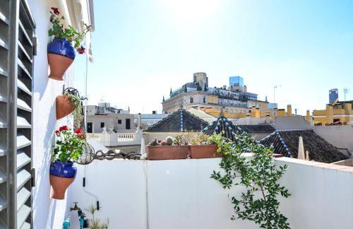 Alohamundi Campana - Foto 8