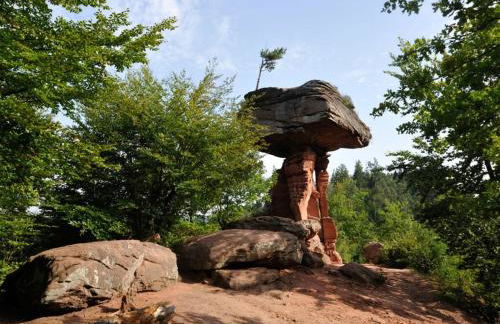 apartment Haus Renate Palatinate Forest - Foto 20