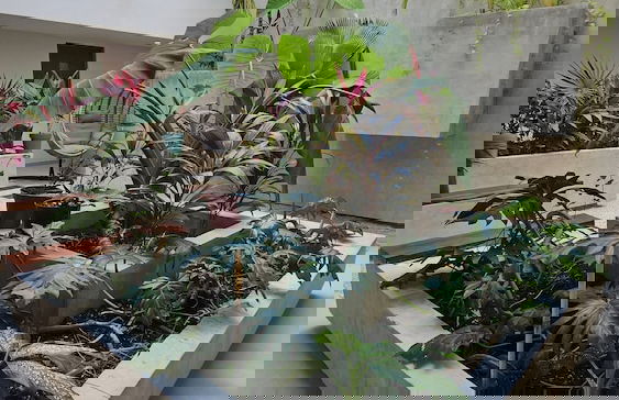 369 Luxury Apartments Mamitas Zone - Foto 67